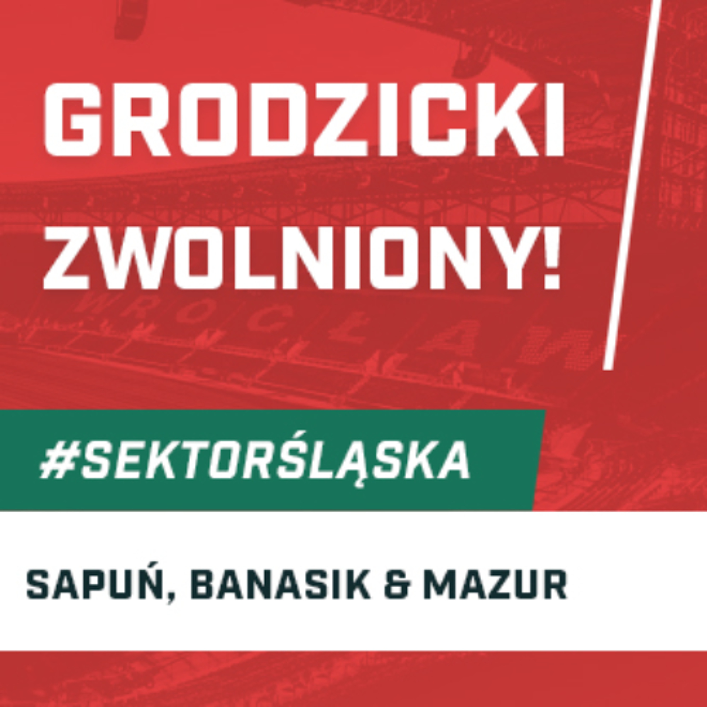 Śląsknet