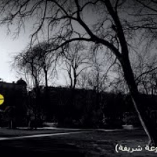 أجمل موسيقى عربية حزينة و هادئة 2020 | مقطوعة (شريفة)