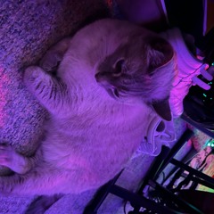 ELECTRIC BLUE SHOW 12.15.2025_Leandrul Set