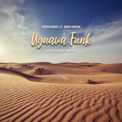 Andor Gabriel Vs. Mark Ronson - Uguawa Funk (Alexo B & Dj Alex Mashup)