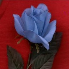 bluerose