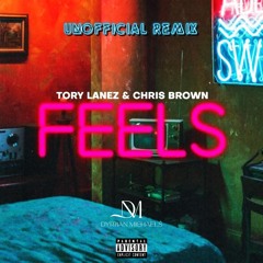 Feels - Tory Lanez  (feat. Chris Brown) - DM Remix