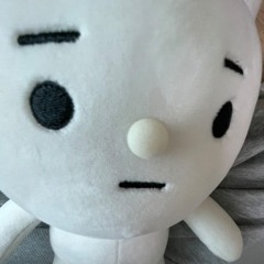 폴로