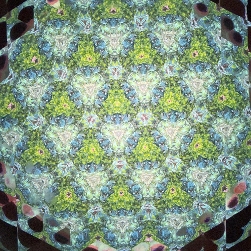 Cold Reflections (Free Download)