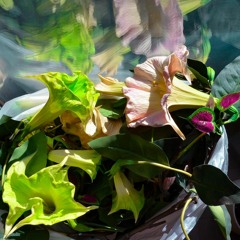 lix - Balades En Partage ~ 11.05.2022