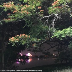 Oklou - fall (BLCKEBY kinshasa nights remix)
