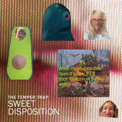 The Temper Trap - SWEET DISPOSITION (WESTWOOD FLIP)
