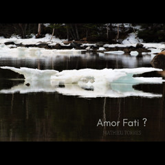 Amor fati ?