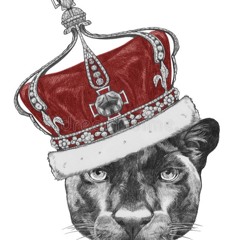 Ride Wit Me Freestyle