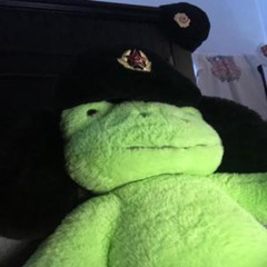 NORUE - commander croak
