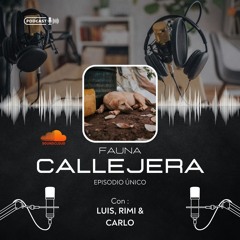 Podcast Fauna Callejera