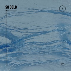 LEOWI - So Cold