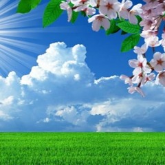 Spring