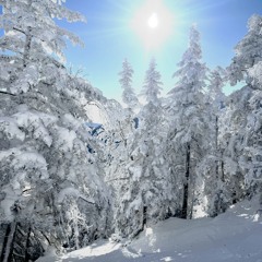 stowe