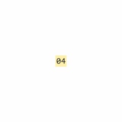 Sinus 04