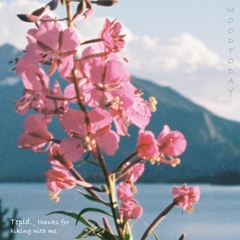 Tepīd._ thanks for hiking with me.
