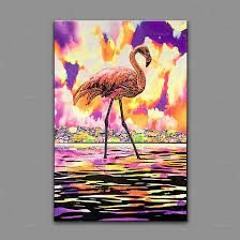 Eternel Flamant Rose