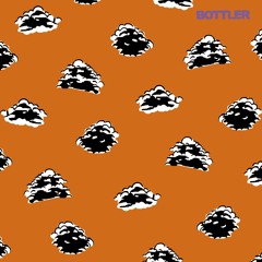 Bottler - Nobody Likes Me (single version)