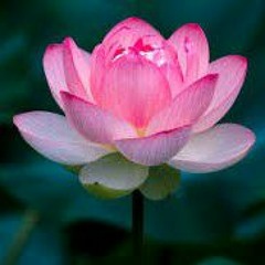 Saddle Me Up (Ft. Jay & Eric)