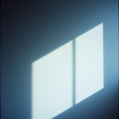 Behind the Shadows