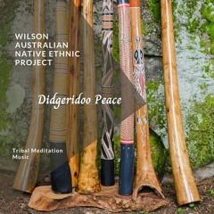 Wilson Australian Native Ethnic Project - War Like (Aggressive Drumming With Didgeridoo)