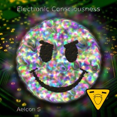 Electronic Consciousness