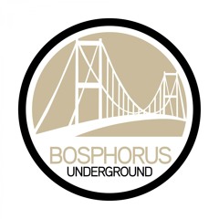 Bushy (Original Mix)