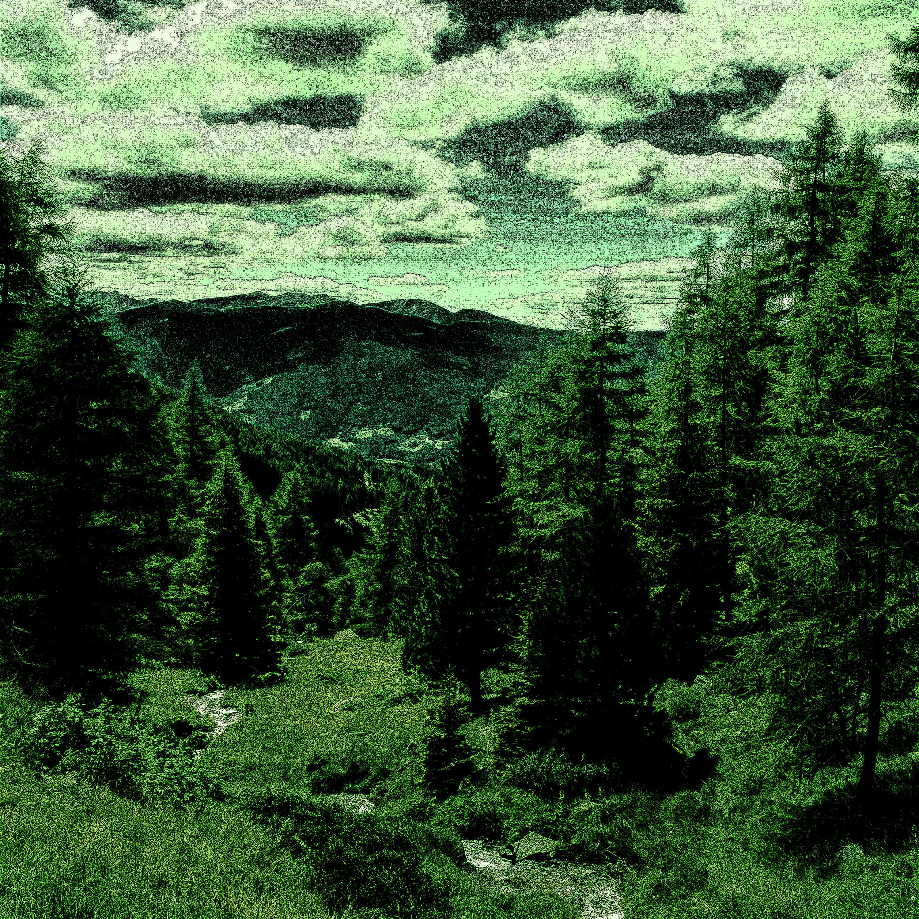Ash Green music