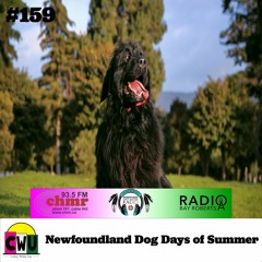 CWU 159: The Dog Days of Summer