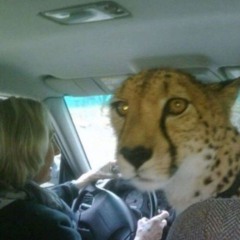 SOMETHING FRESH ⚡🤹🏽   BY   JAZ