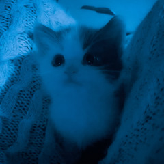 my little love