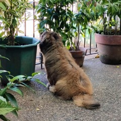 Go Out Someday (demo) [Prod. by Tatz Maven]