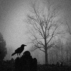 𝖓𝖍𝖆𝖇𝖔𝖔𝖌𝖟 - 𝖓𝖊𝖛𝖆 𝖍𝖔𝖒𝖊