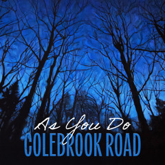 As You Do (feat. Woody Platt)