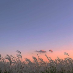 Wishful Thinking - Gracie Abrams (cover)