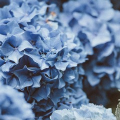 Ben Seni Çok Sevdim/Cem Adrian - Feat Zeynep Erdogan-2021.11.13