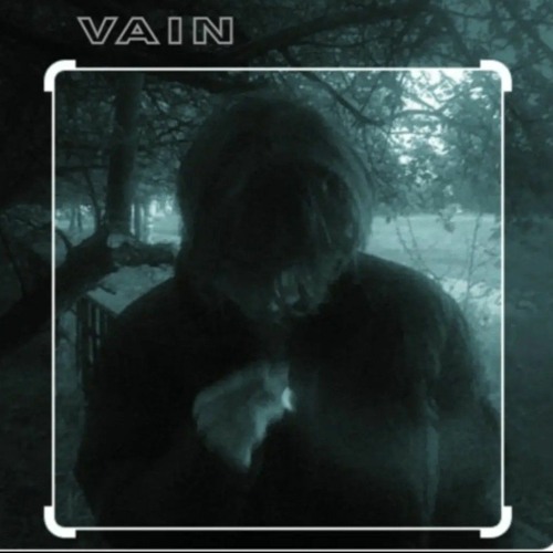 V A I N