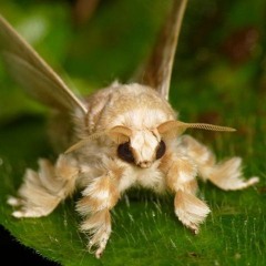 i hate niggas w 10 dreads prod.fc