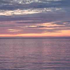 The Vista