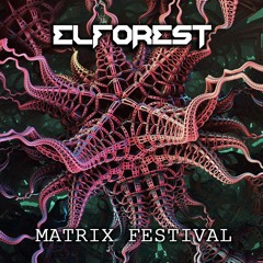 ΣLFΦRΣST - MATRIX FESTIVAL [hi - Tech]