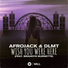 Afrojack & DLMT - Whish You Were Here (Feat. Brandyn Burnette) [Ted Remix]