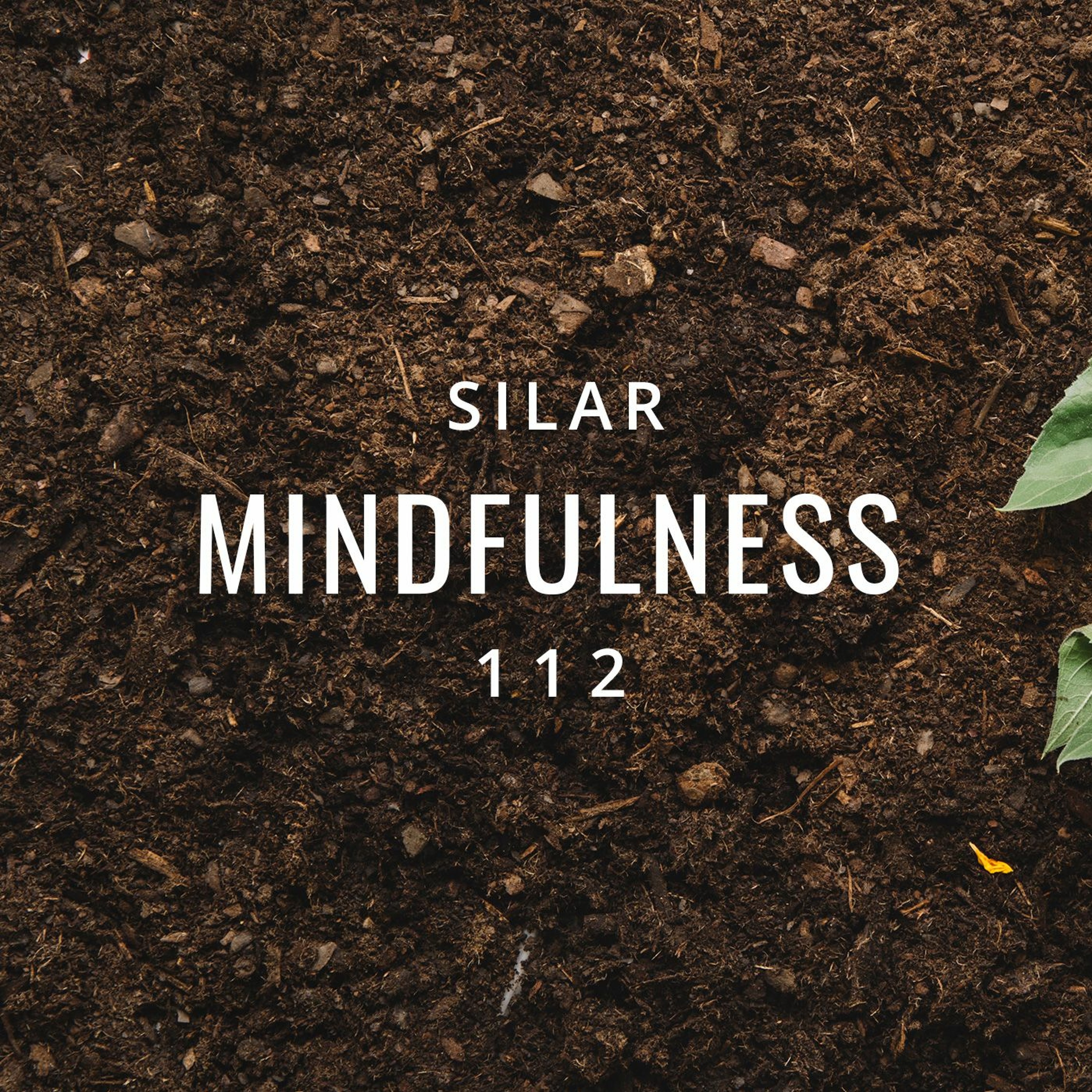 Mindfulness