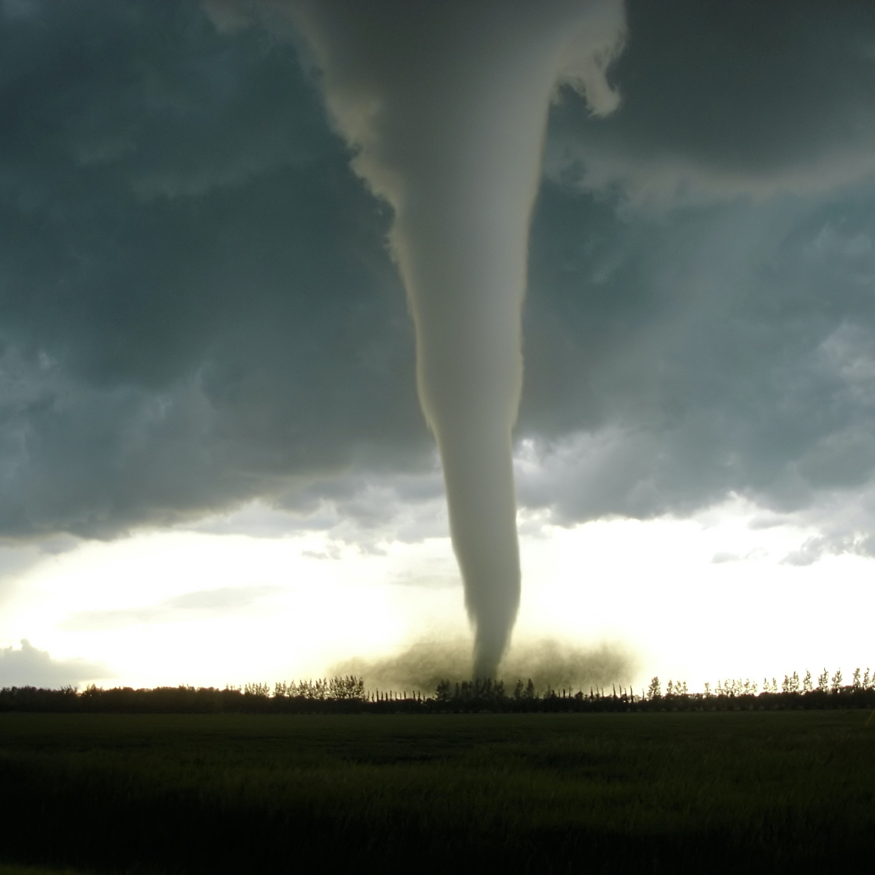 Connell Miller: Tornado Analyst