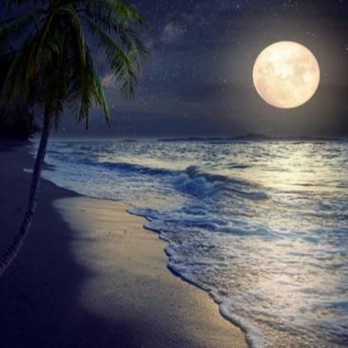 Full Moon #01