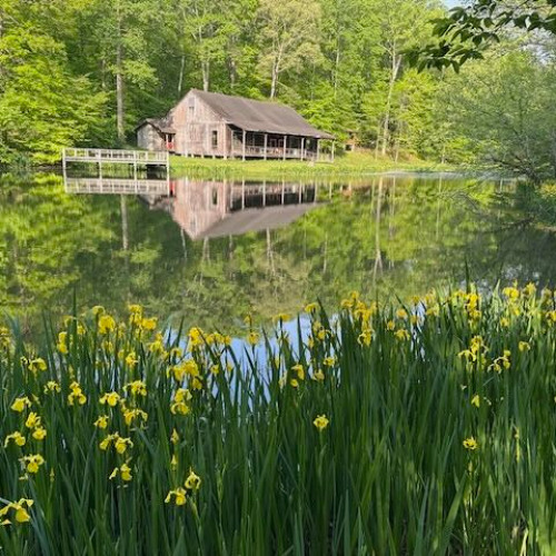 Dharma Lessons from Bethany Hills