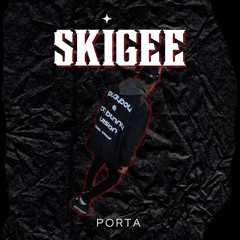 Skigee-Porta
