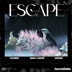 Flume & QUIET BISON - ESCAPE (feat. KUČKA) [tearsofmine flip]