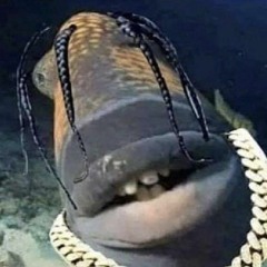 [FREE]Travis Scott type beat 트래비스 스캇 타입비트