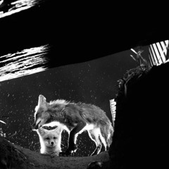 REC01 MIX