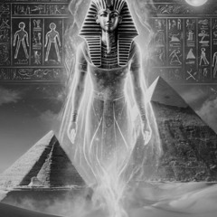 Egyptian Perspective (short version)
